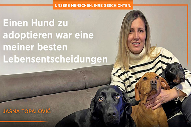 Vielleicht werden Sie manche Menschen und Freunde enttäuschen, Ihr Hund wird es jedoch nicht